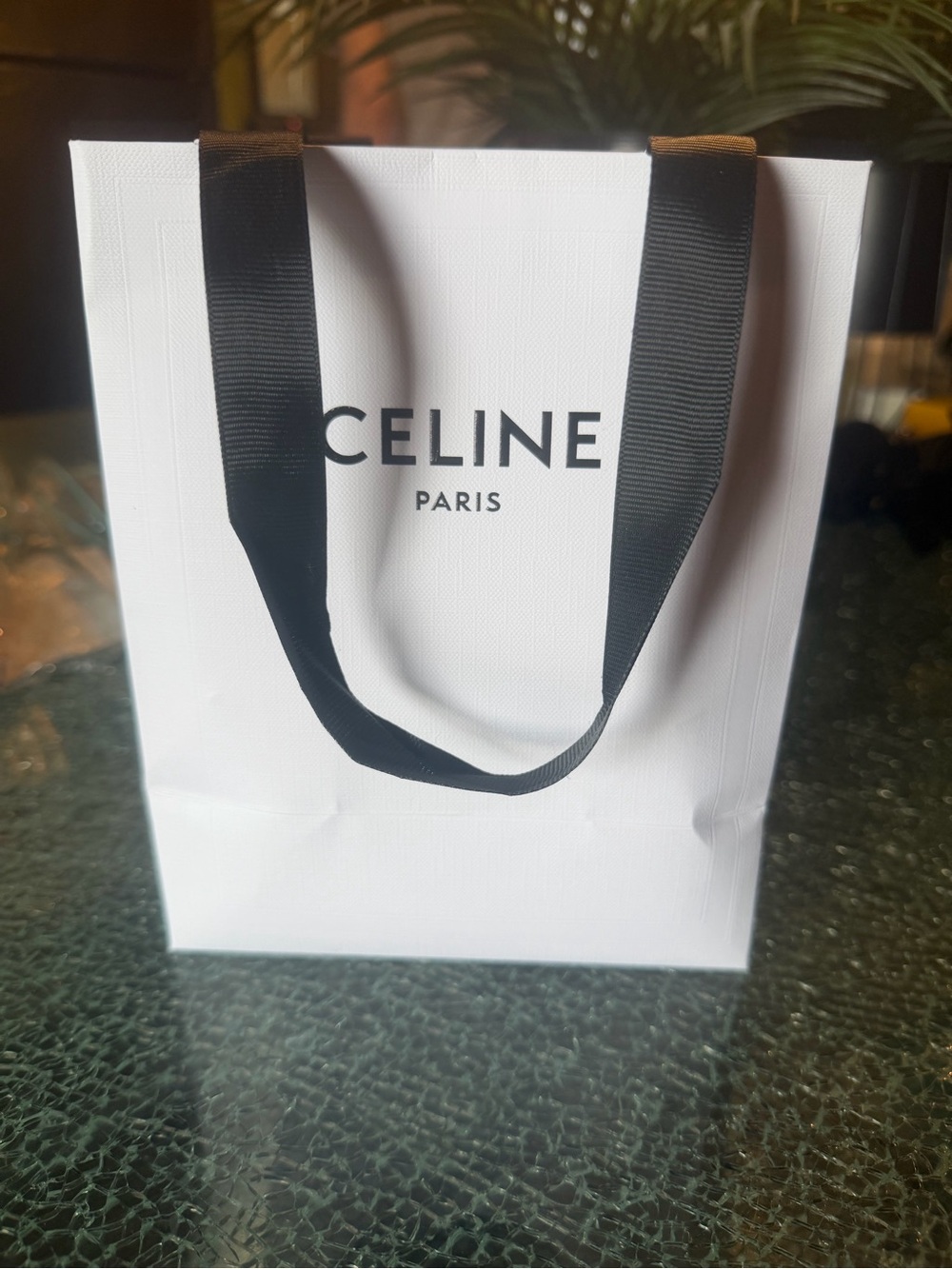 Celine Gold Double-Chain Drop Earrings with Triomphe Motif - Picture 4 of 5